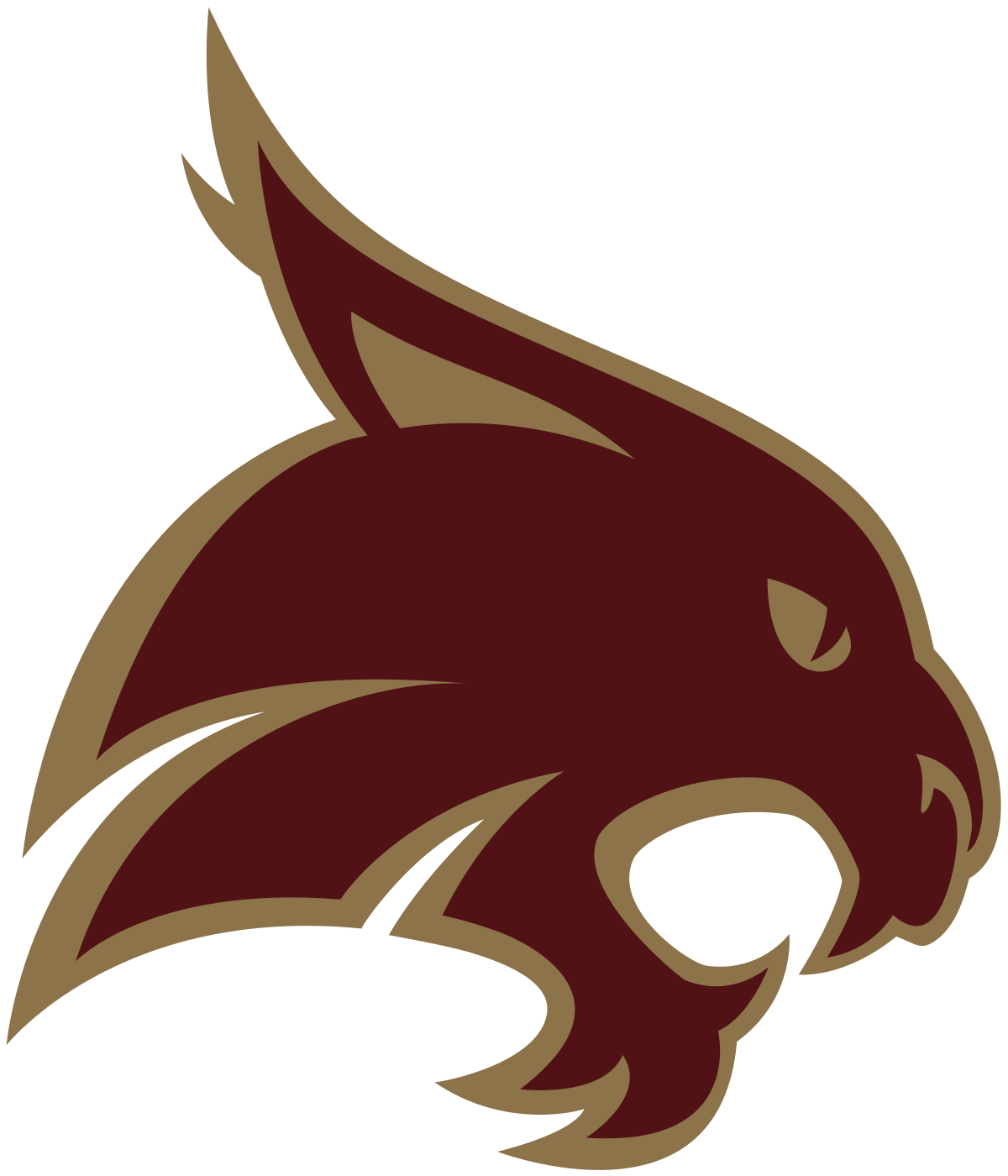 2025 MCCOY COLLEGE TEXAS STATE GRAD STOLE +1 CUSTOM ITEM